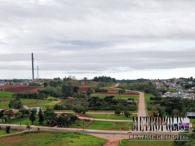 Venda em João Alves - Santa Cruz do Sul